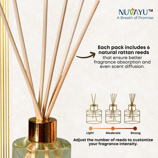 NUVAYU Aqua Breeze Reed Diffuser 50ml | Oil Diffuser Set with 6 Rattan Reed Sticks | Long-Lasting Room Freshener for Home, Bedroom, Living Room & Office | Gift Set